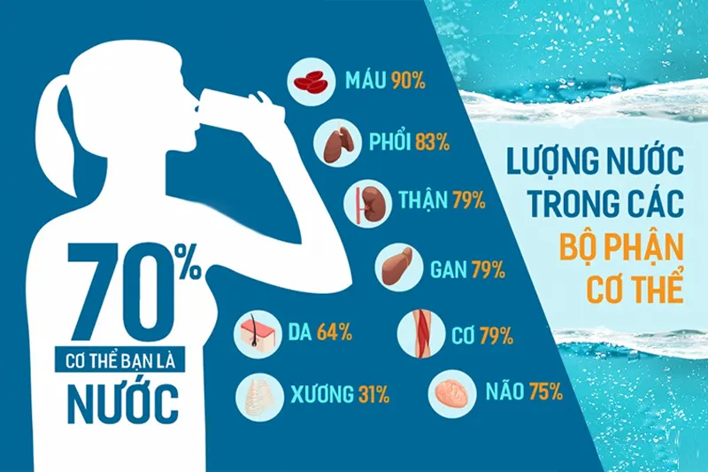 nước với cuộc sống